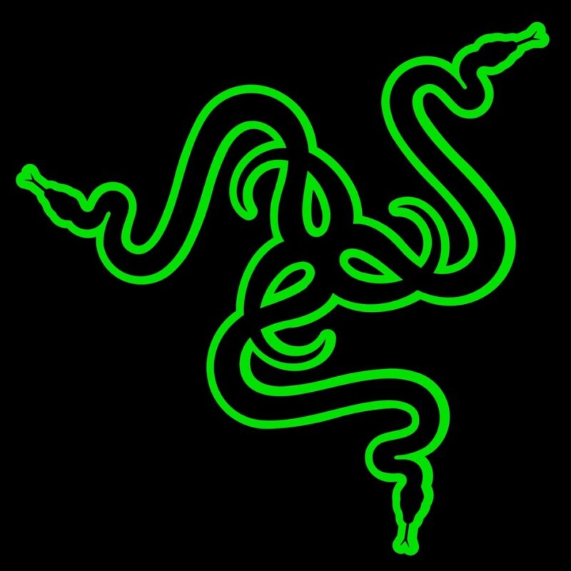 Razer Battery